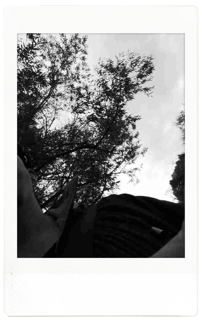 Benni's Photography — photo 5